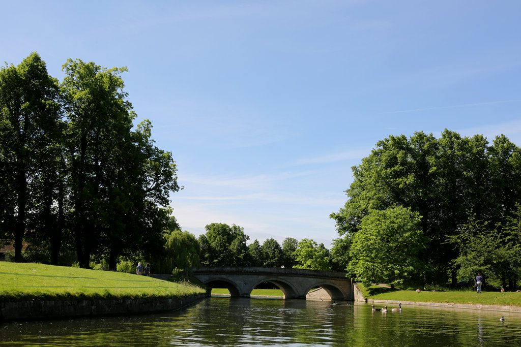 174125a8obyob1f1nkofbk 174125a8obyob1f1nkofbk