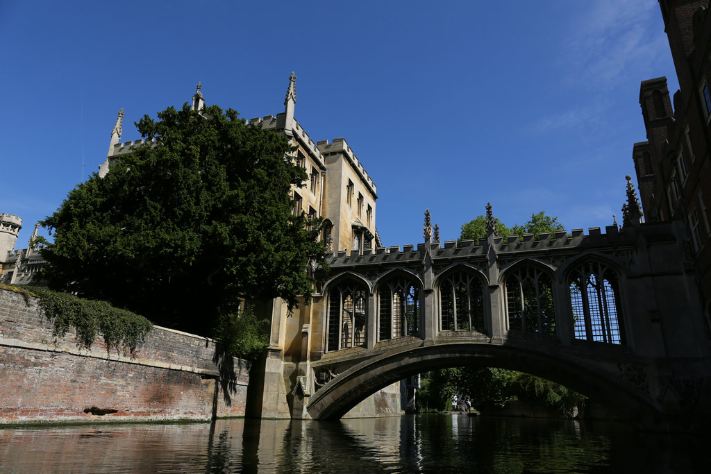 174112n8sludu8ldkgpafv 174112n8sludu8ldkgpafv