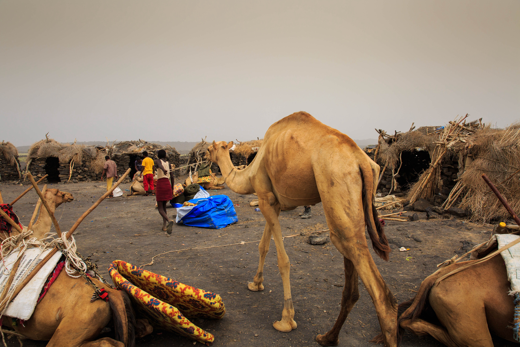 165957esgstopojswgcufo 165957esgstopojswgcufo