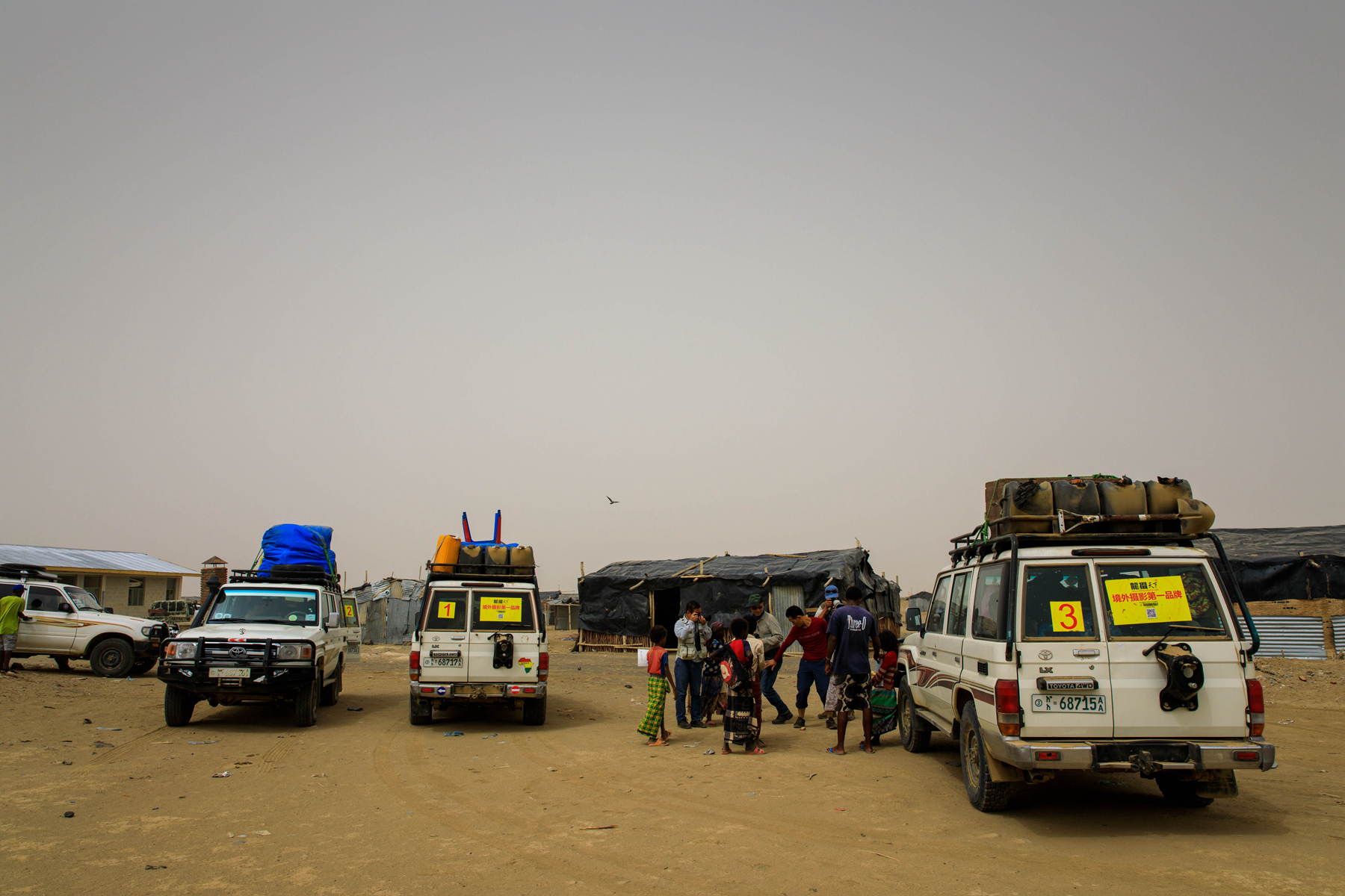 161401a8n0l1ql188llj8z 161401a8n0l1ql188llj8z