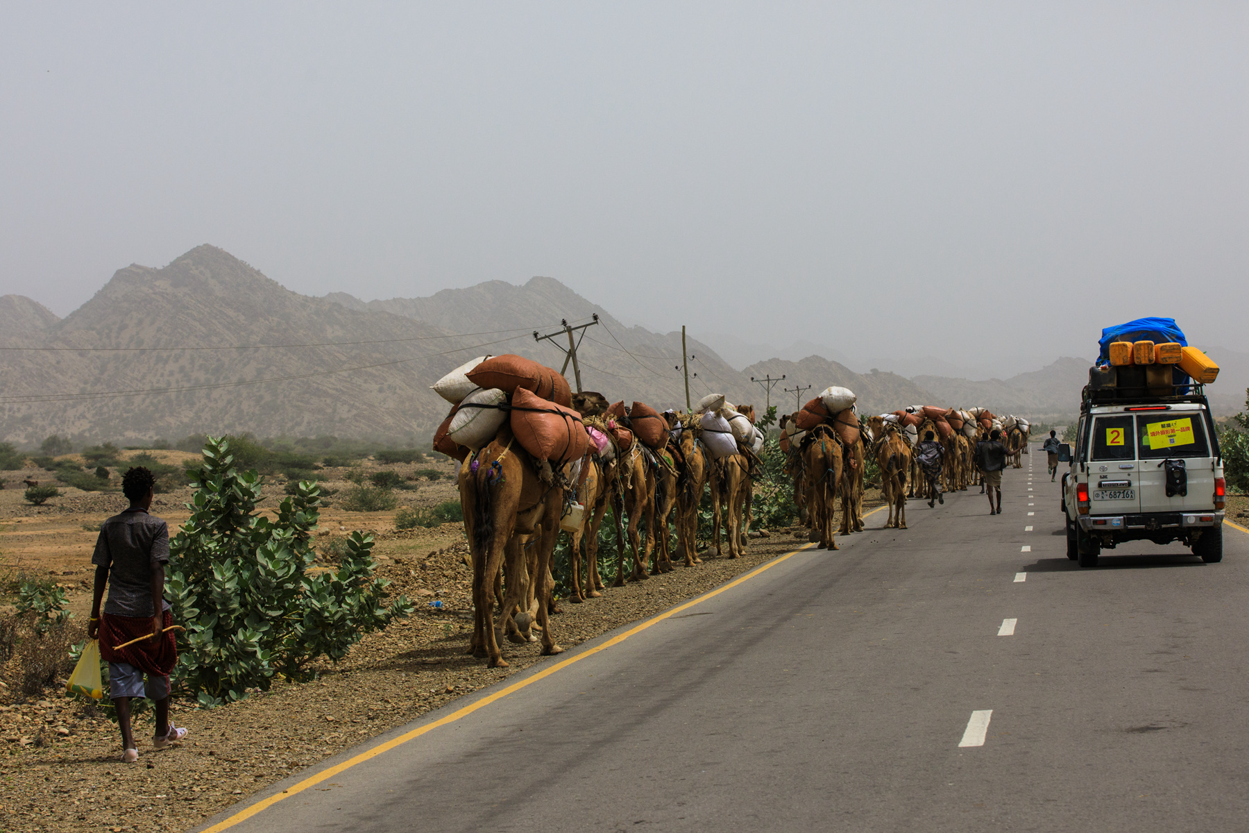 085924u7pjrggx3mnzrl20 085924u7pjrggx3mnzrl20