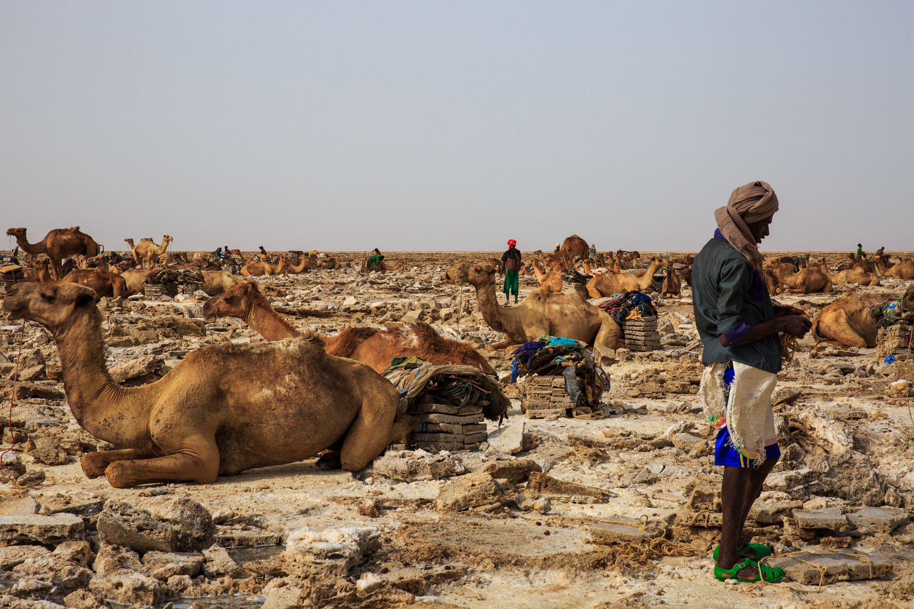 093342y2g73g3sy72npfps 093342y2g73g3sy72npfps