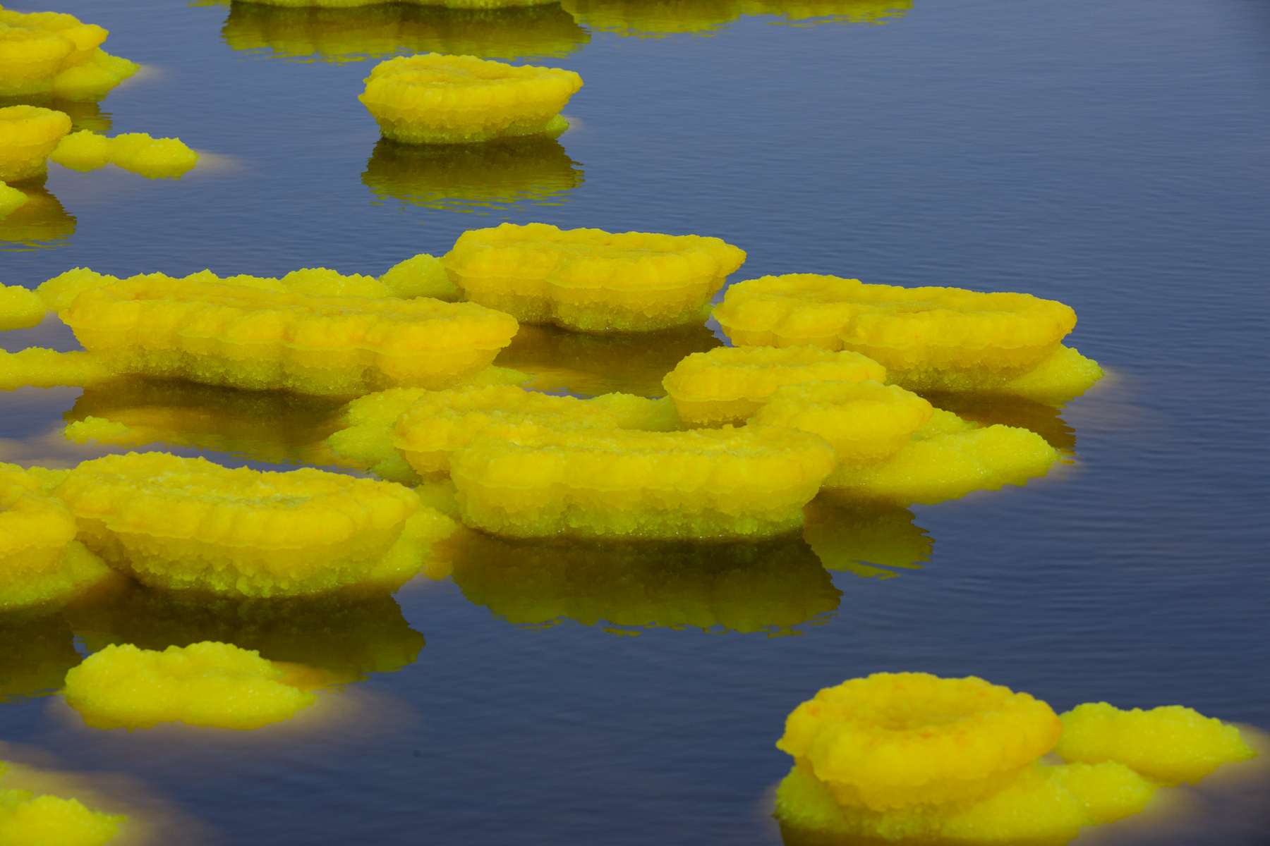 105241e1mqljaj1lvd1a1j 105241e1mqljaj1lvd1a1j