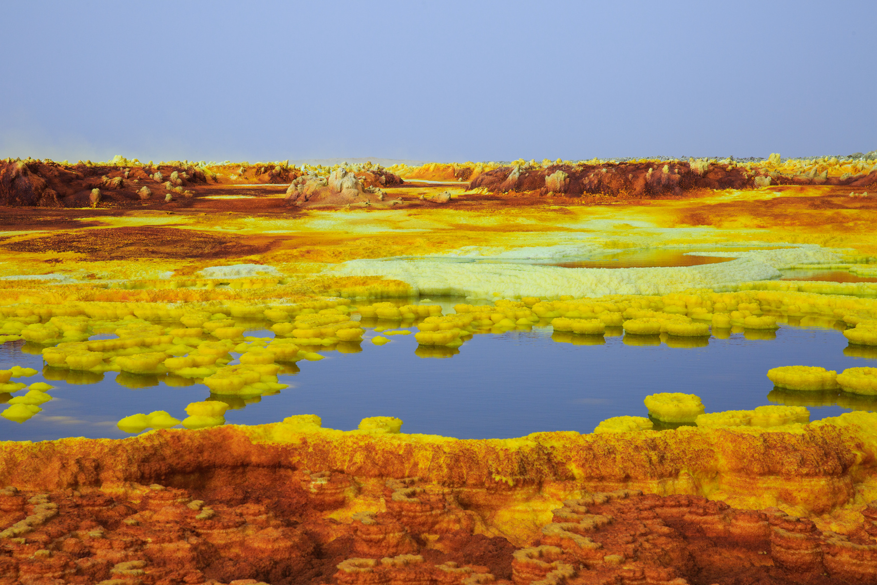 110225d888bo88eqe1f8b8 110225d888bo88eqe1f8b8