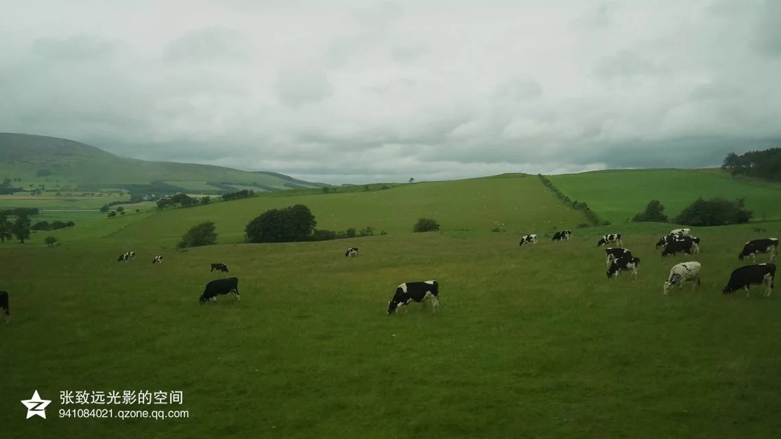 112848zztskaiyzieslllj