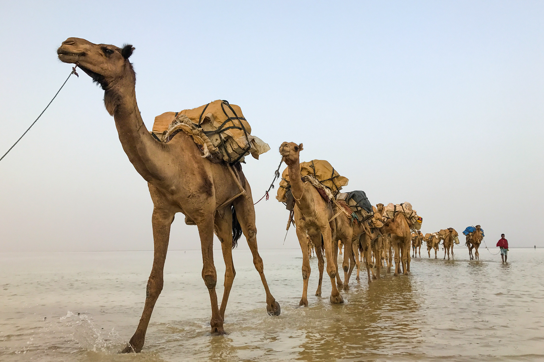 091722fvhdtd55588yn5a5 091722fvhdtd55588yn5a5