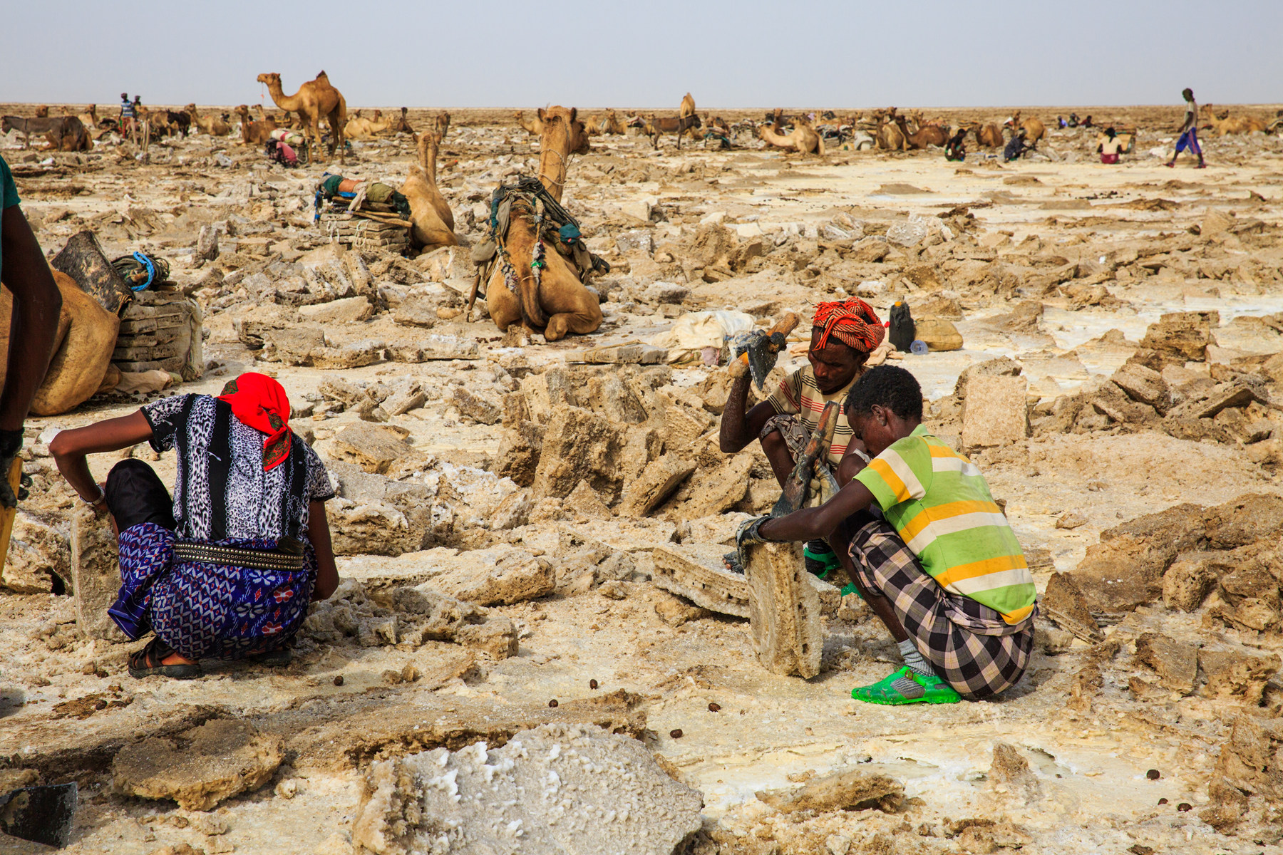 091810ftpptr8wttf0h0fw 091810ftpptr8wttf0h0fw