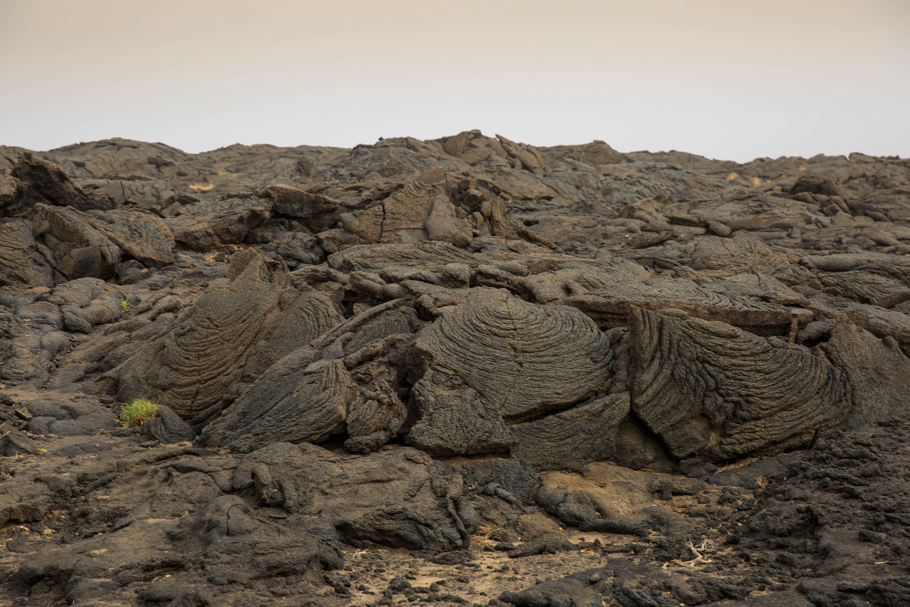 171703vpq9qp9opq8tvmq9 171703vpq9qp9opq8tvmq9