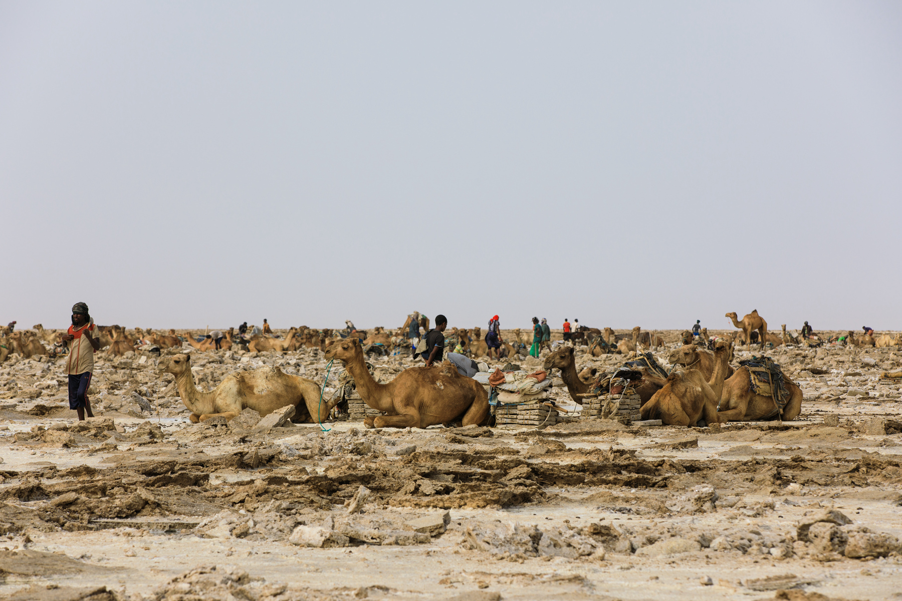 093258ymt7dzd00wm0xf3k 093258ymt7dzd00wm0xf3k