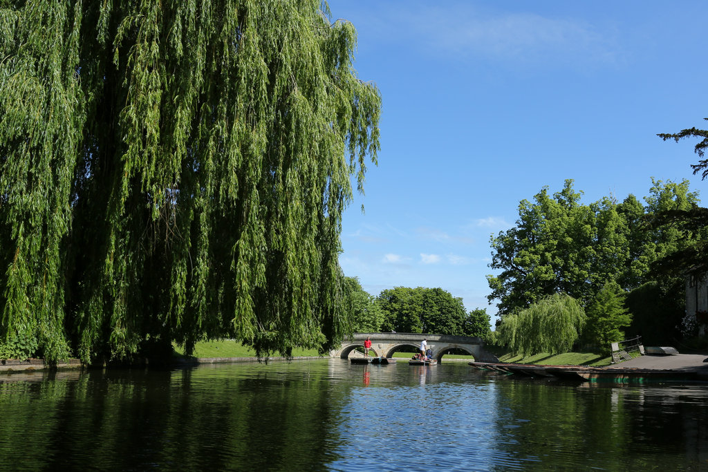 174027hghd8ndmd0dpeg0k 174027hghd8ndmd0dpeg0k