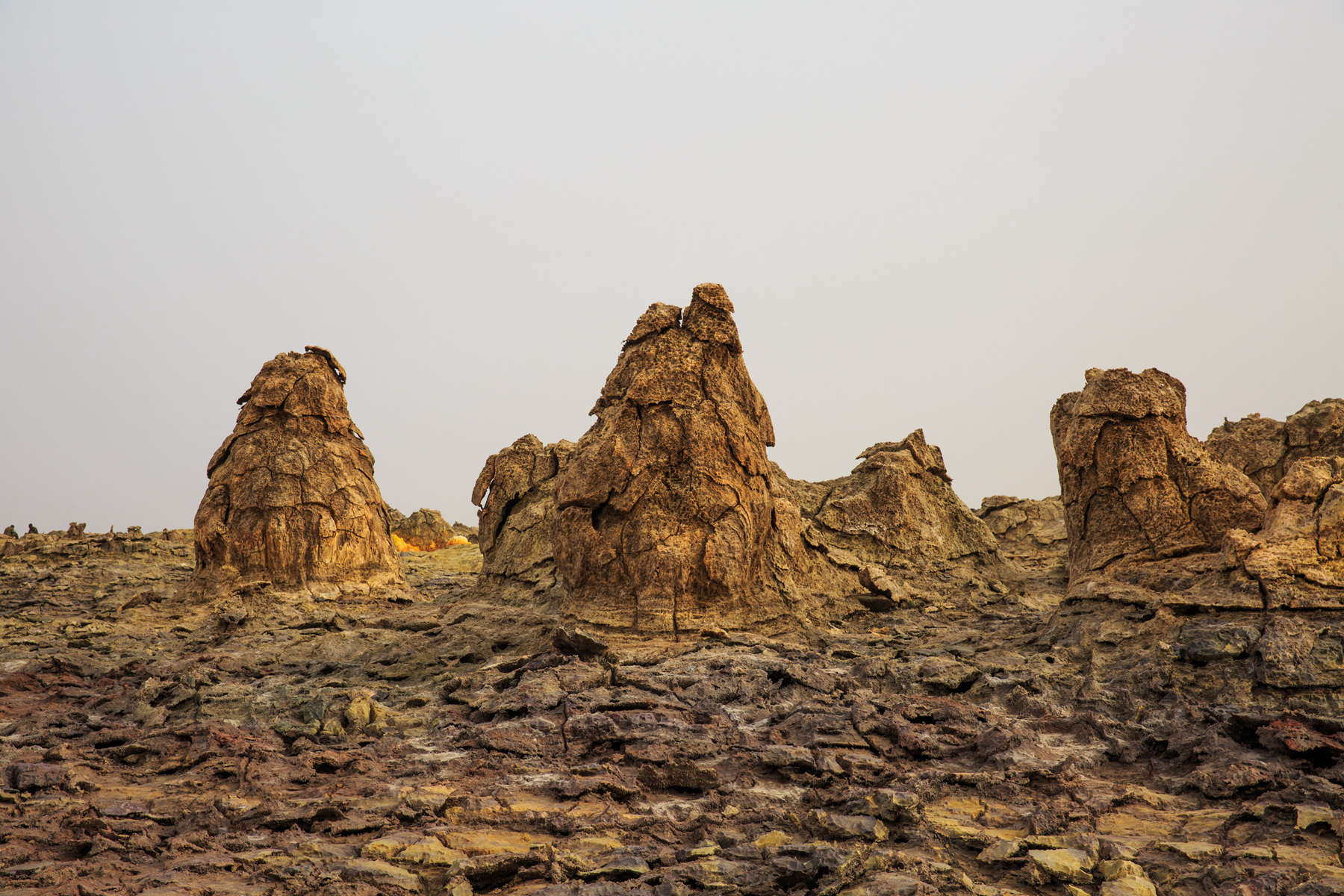 111546r2cxu4xxca1nlbu2 111546r2cxu4xxca1nlbu2