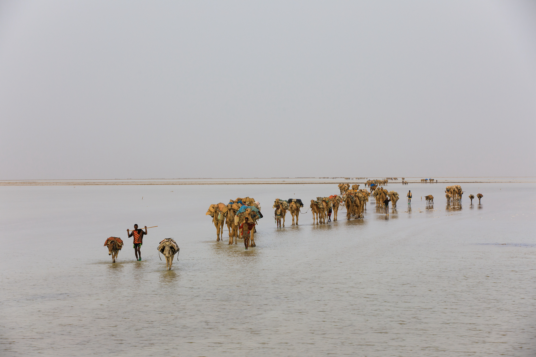 085201gkn0hgggqbsnl6kd 085201gkn0hgggqbsnl6kd