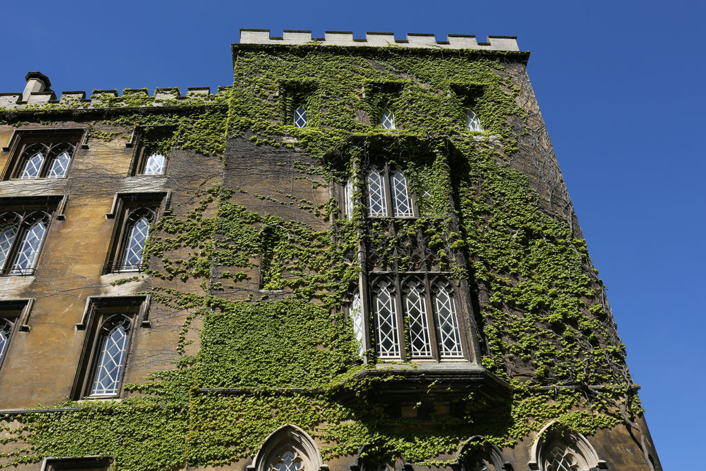 174201t7owwzxn1jon75kz 174201t7owwzxn1jon75kz