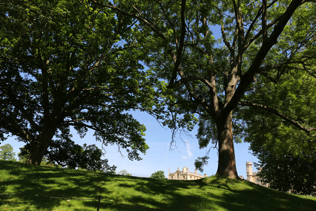 174225intozyg2cly0jj5f 174225intozyg2cly0jj5f