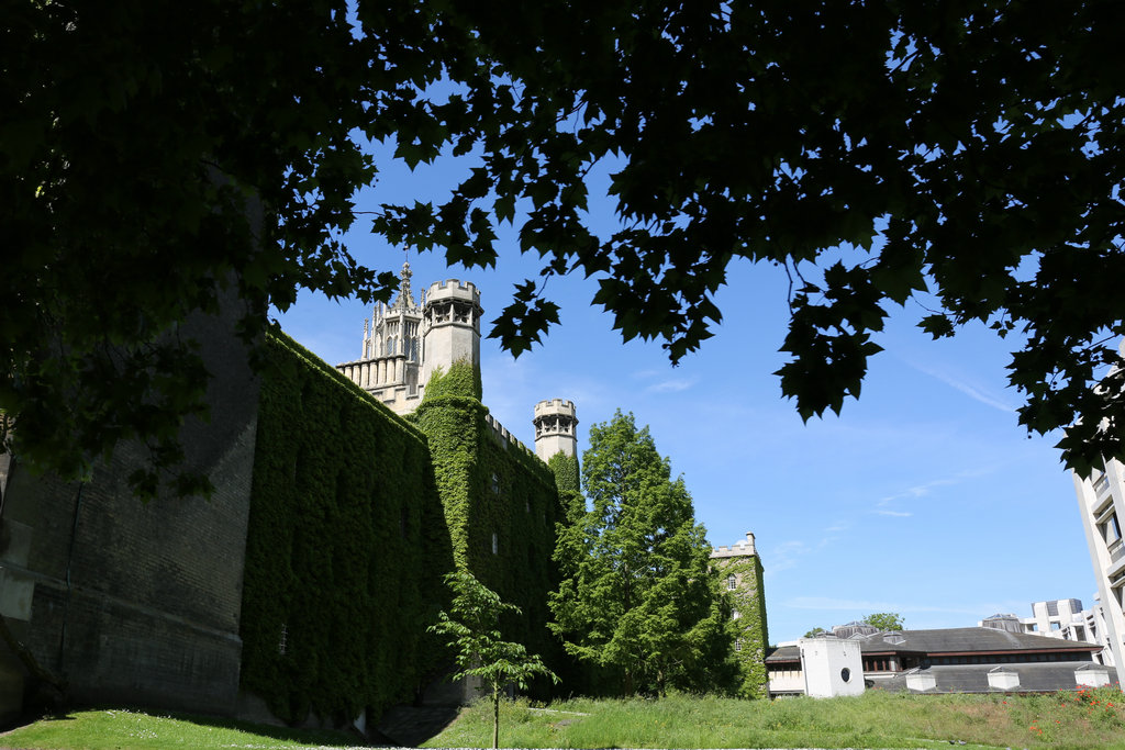 174238lwnyef2nedbdb22w 174238lwnyef2nedbdb22w