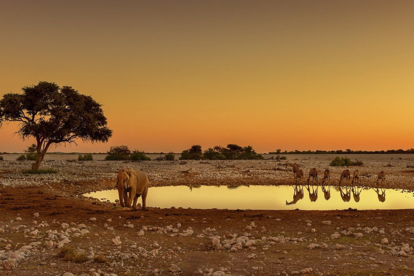 2026.5.29 納米比亞、博茨瓦納及維多利亞瀑布攝影團(tuán)——掠影南部非洲精華