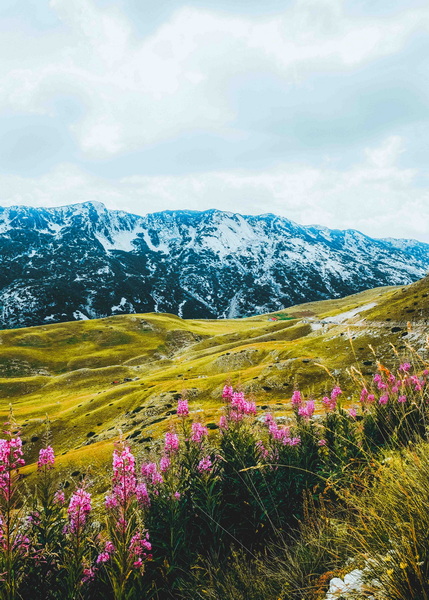 杜爾米托國家公園-4