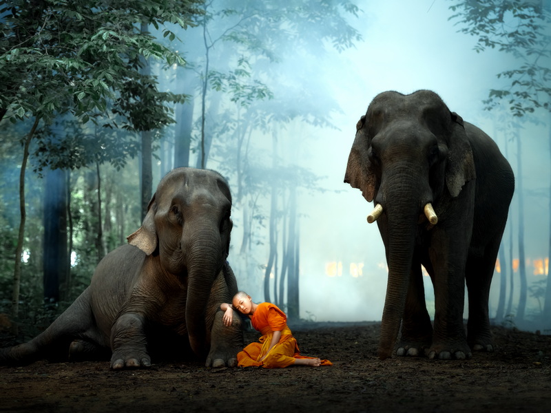 圖片_20240713104826