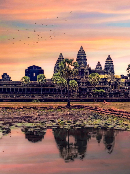 cc70adaa736e6d991c1bfa410b937074