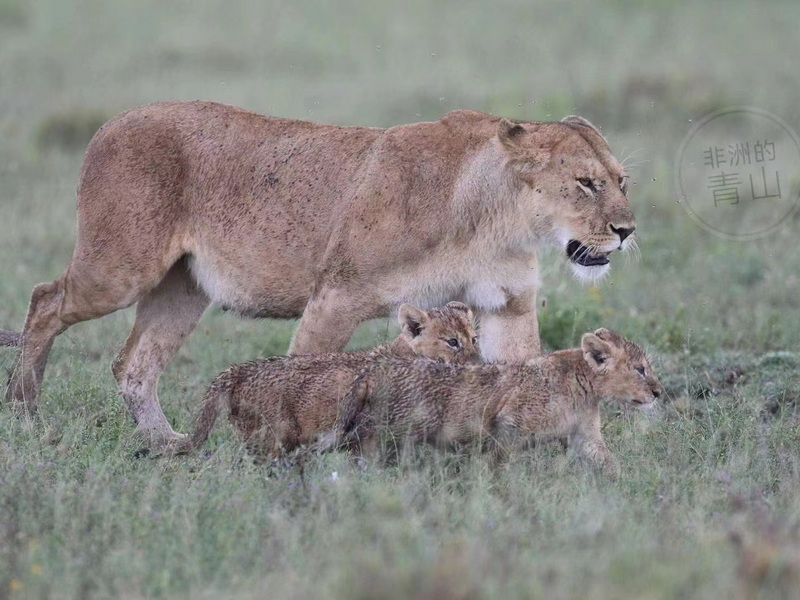 微信圖片_20240822140210