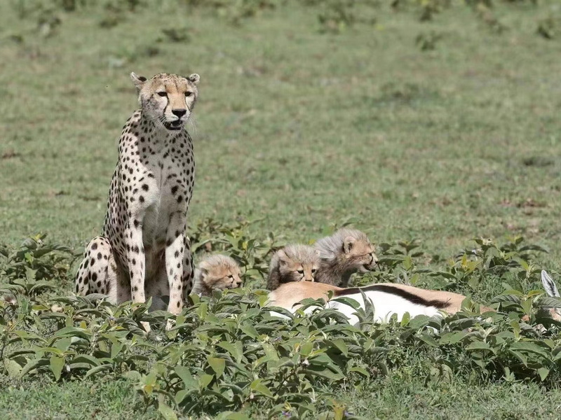 微信圖片_20240822140116