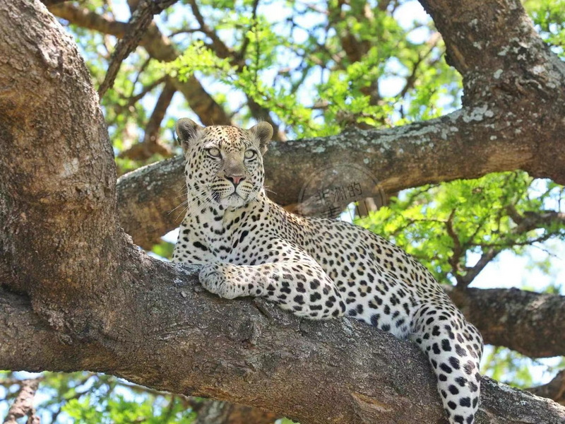 微信圖片_20240822140321