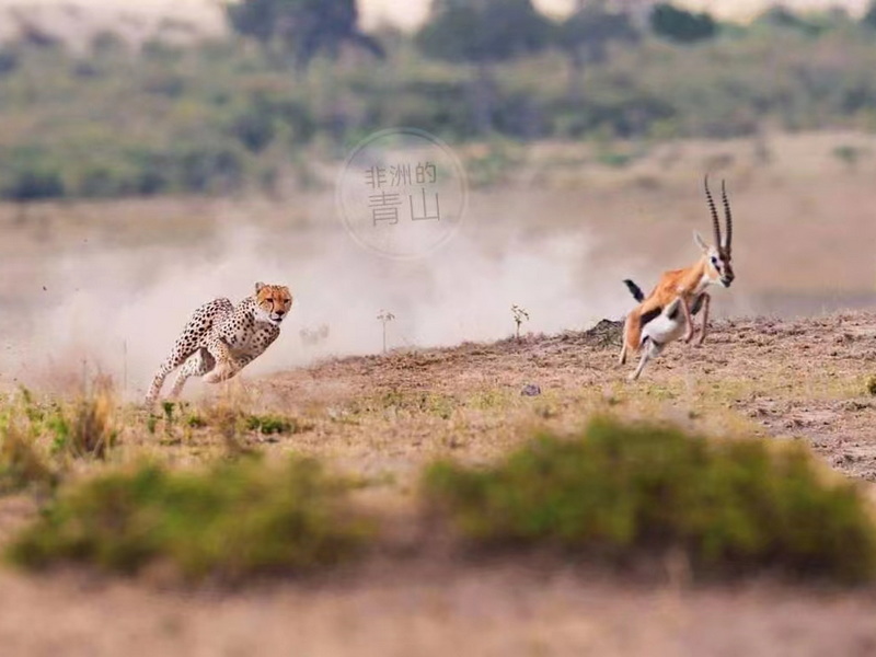 微信圖片_20231109143701 - 副本