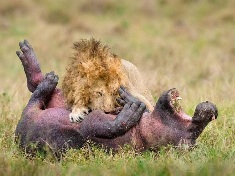 微信圖片_20231102104303