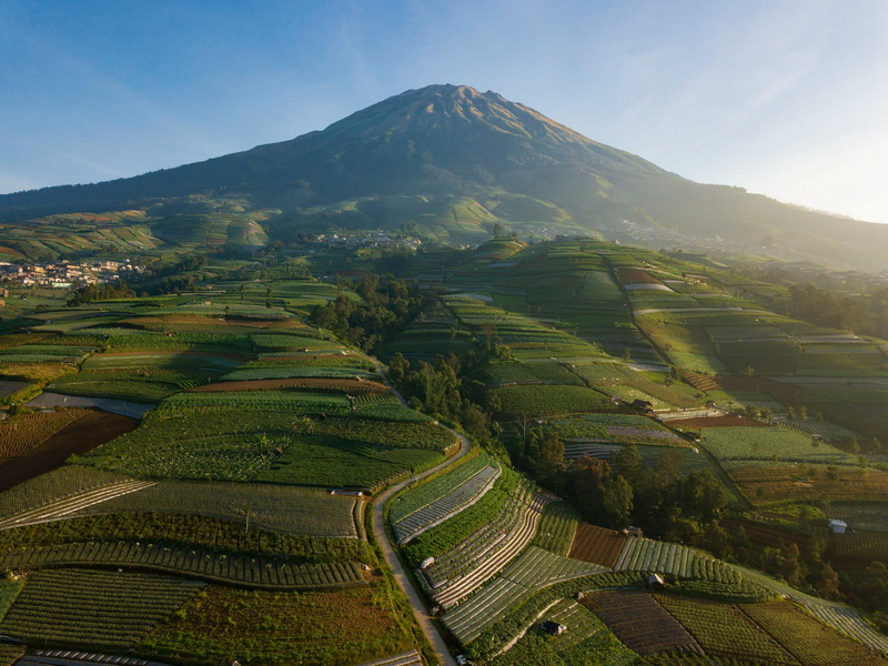 50eb8a55d5c2a650058f70500c644469