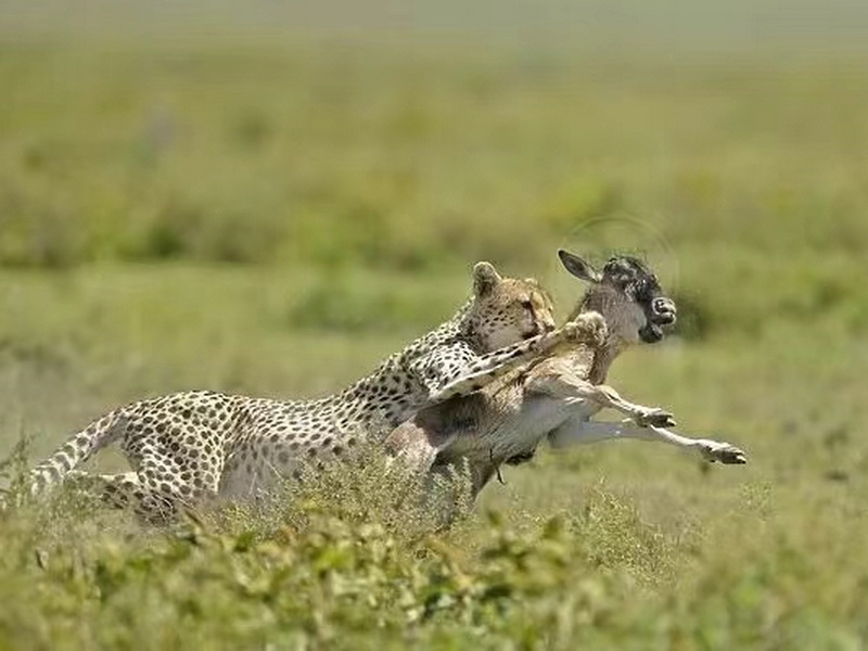 微信圖片_20240913105332