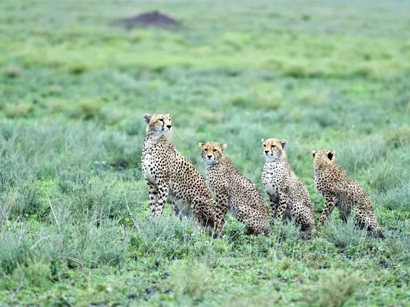 微信圖片_20240822140339