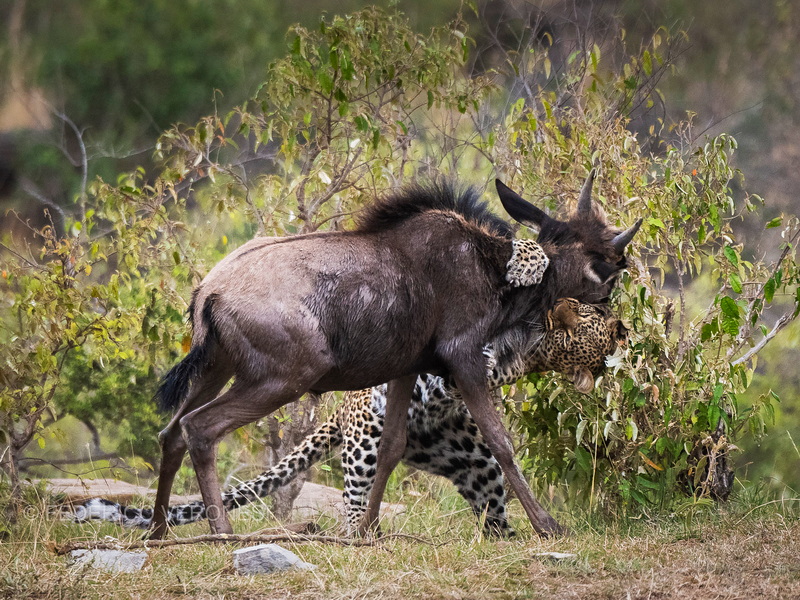 微信圖片_202303171432273