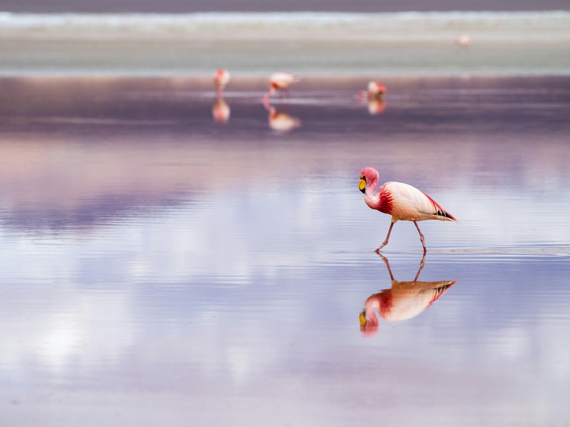 4247140f5609f11a59549435a70045f1