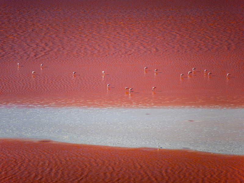 a4f58634efe6b161f9ad94bc86b5ceb2