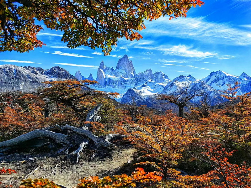 微信圖片_20240925155624