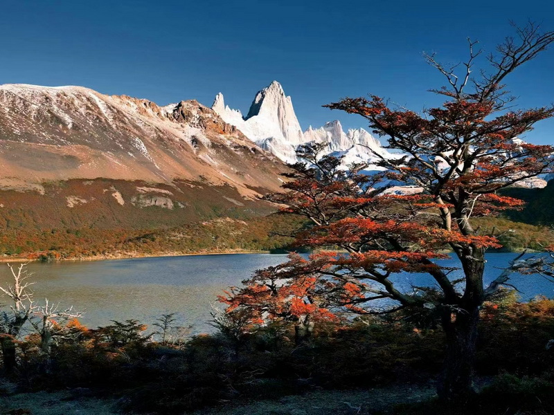 微信圖片_20240925155821