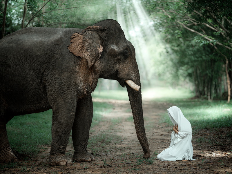 _DSF6252-編輯 拷貝