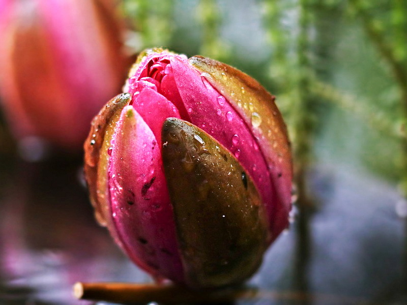 c6b971225be32f8e87336d7b0fda01a0