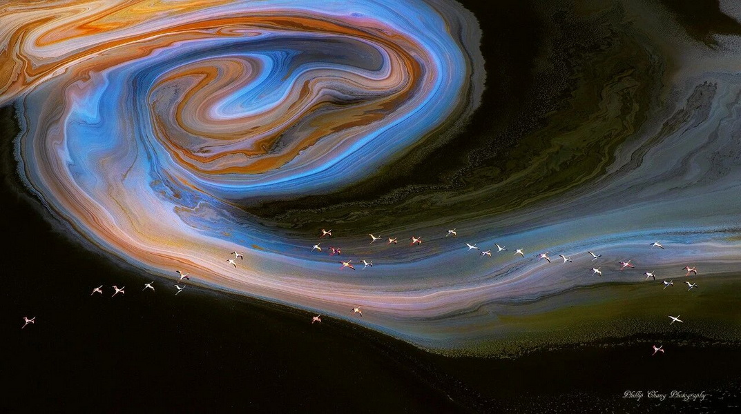 2026.2.12 肯尼亞私人保護區(qū)野生動物世界春節(jié)休閑攝影團