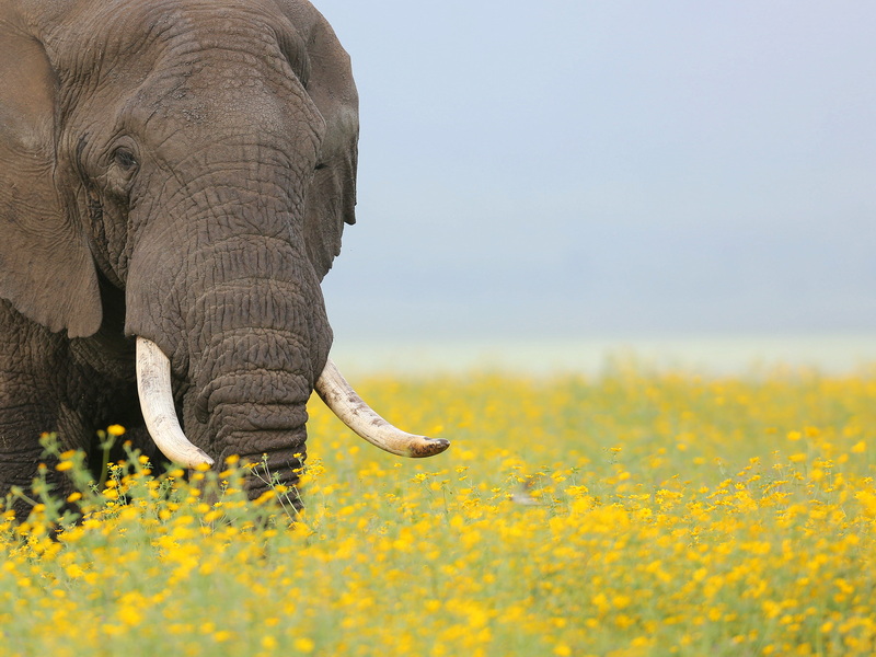 微信圖片_202303171432272